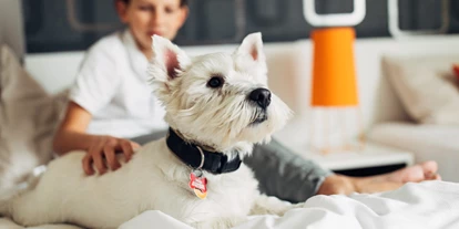 Hundehotel - Preisniveau: günstig - Münchner Umland - harry’s home München Moosach