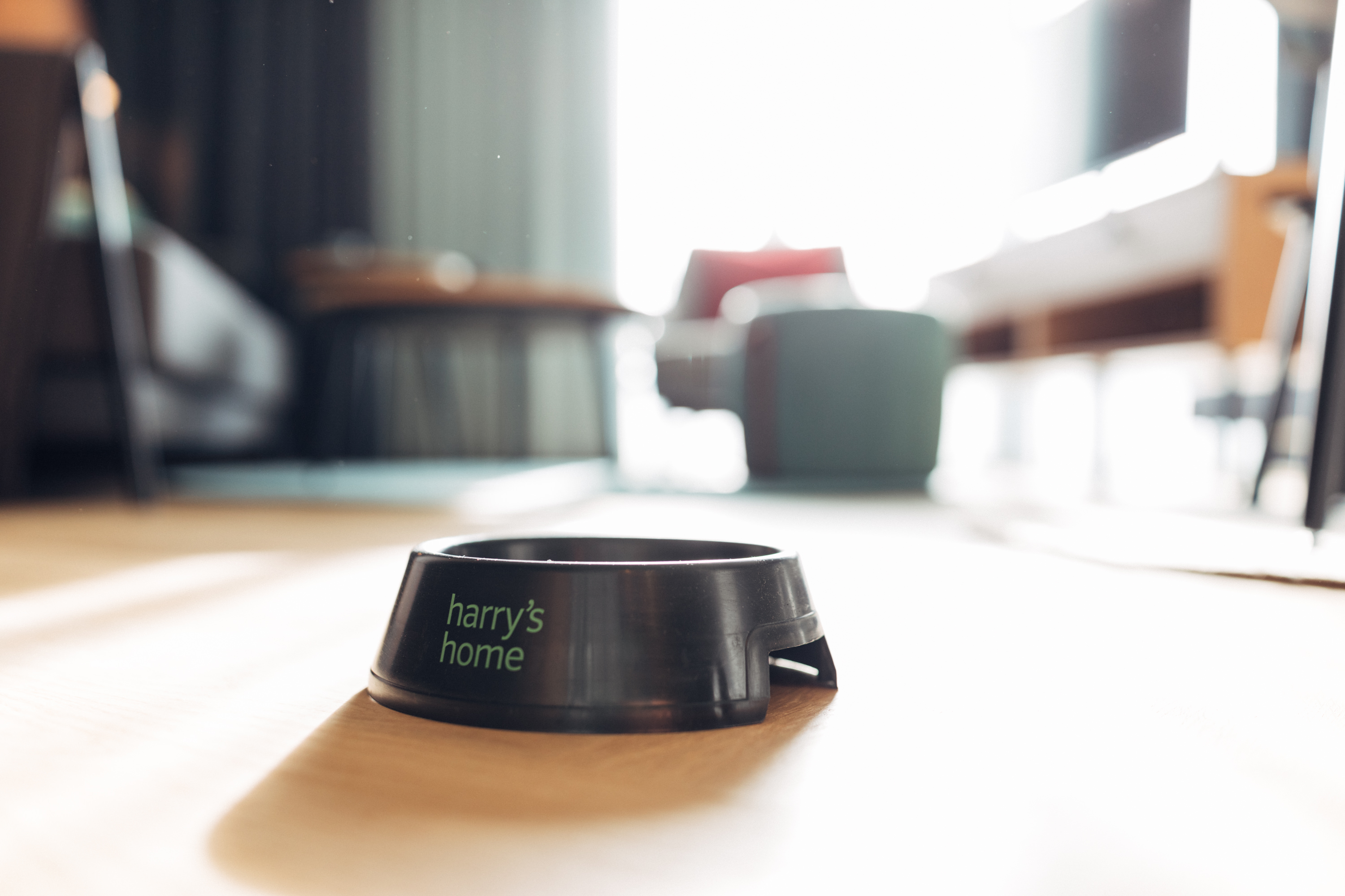 Hundehotel - Zürich-Stadt - harry’s home Zürich Wallisellen