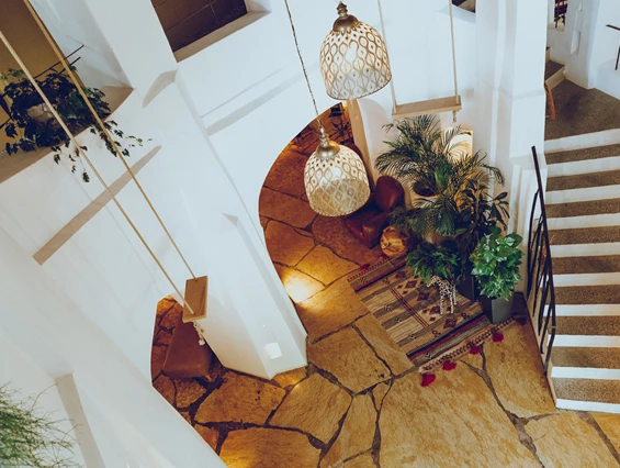 Urlaub-mit-Hund: B&B Hotel BOTANGO