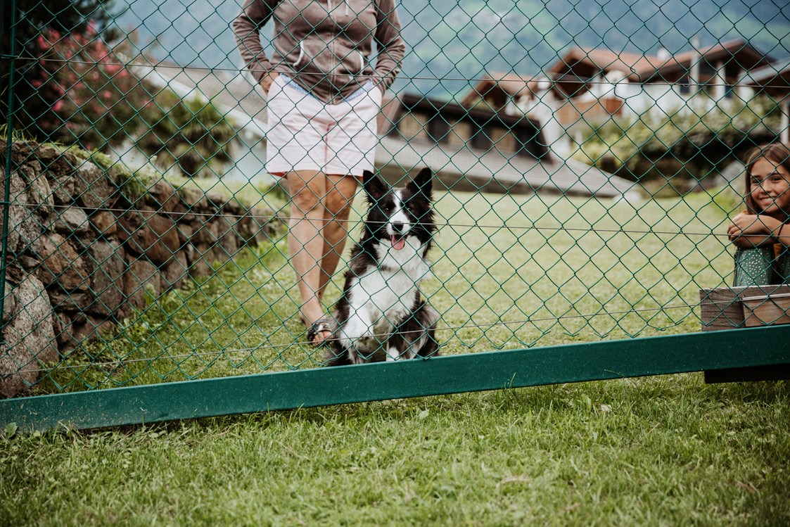Urlaub-mit-Hund: B&B Hotel BOTANGO
