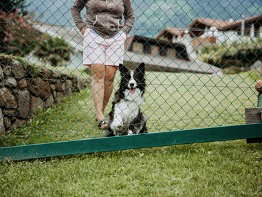 Urlaub-mit-Hund: B&B Hotel BOTANGO