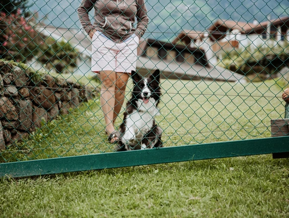 Urlaub-mit-Hund: B&B Hotel BOTANGO