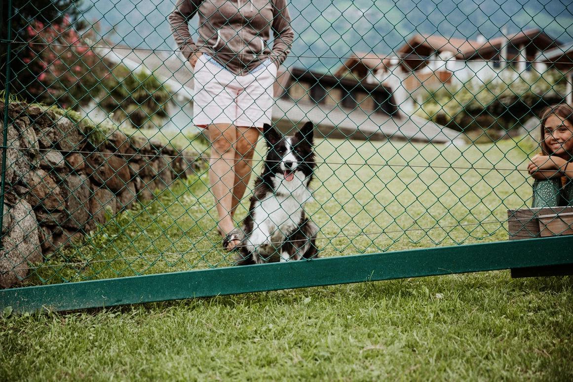 Urlaub-mit-Hund: B&B Hotel BOTANGO