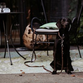 Urlaub-mit-Hund: B&B Hotel BOTANGO