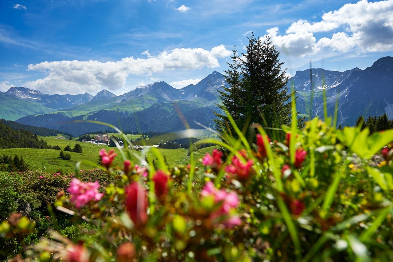AVES Homebase Arosa Ausflüge mit Hund Prätschli - Mittelstation - Innerarosa