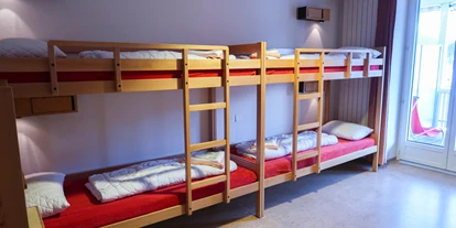 Hundehotel - Doggies: 3 Doggies - YOUTHPALACE DAVOS