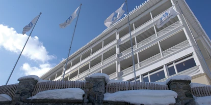 Hundehotel - Doggies: 3 Doggies - YOUTHPALACE DAVOS