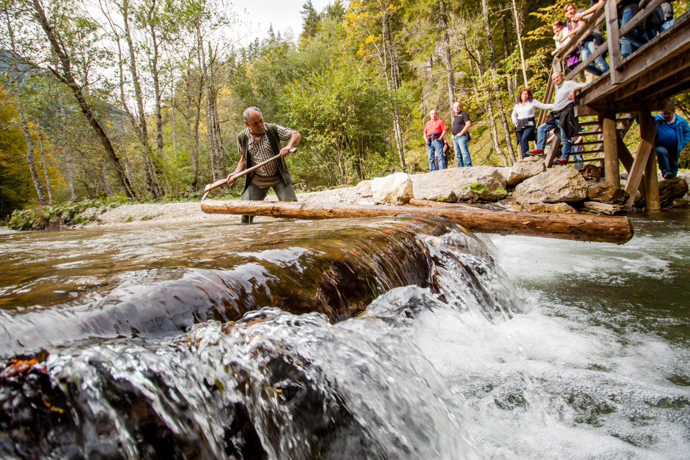 JUFA Hotel Hochkar – Sport-Resort*** Ausflüge mit Hund Erlebniswelt Mendlingtal