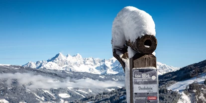 Hundehotel - Tauplitz - Promi-Lodge Flachau