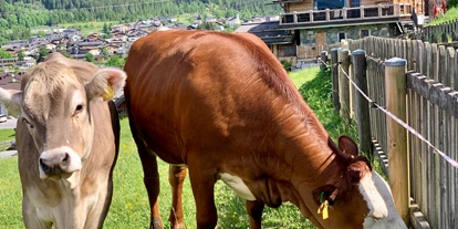 Hundehotel - Tauplitz - Promi-Lodge Flachau