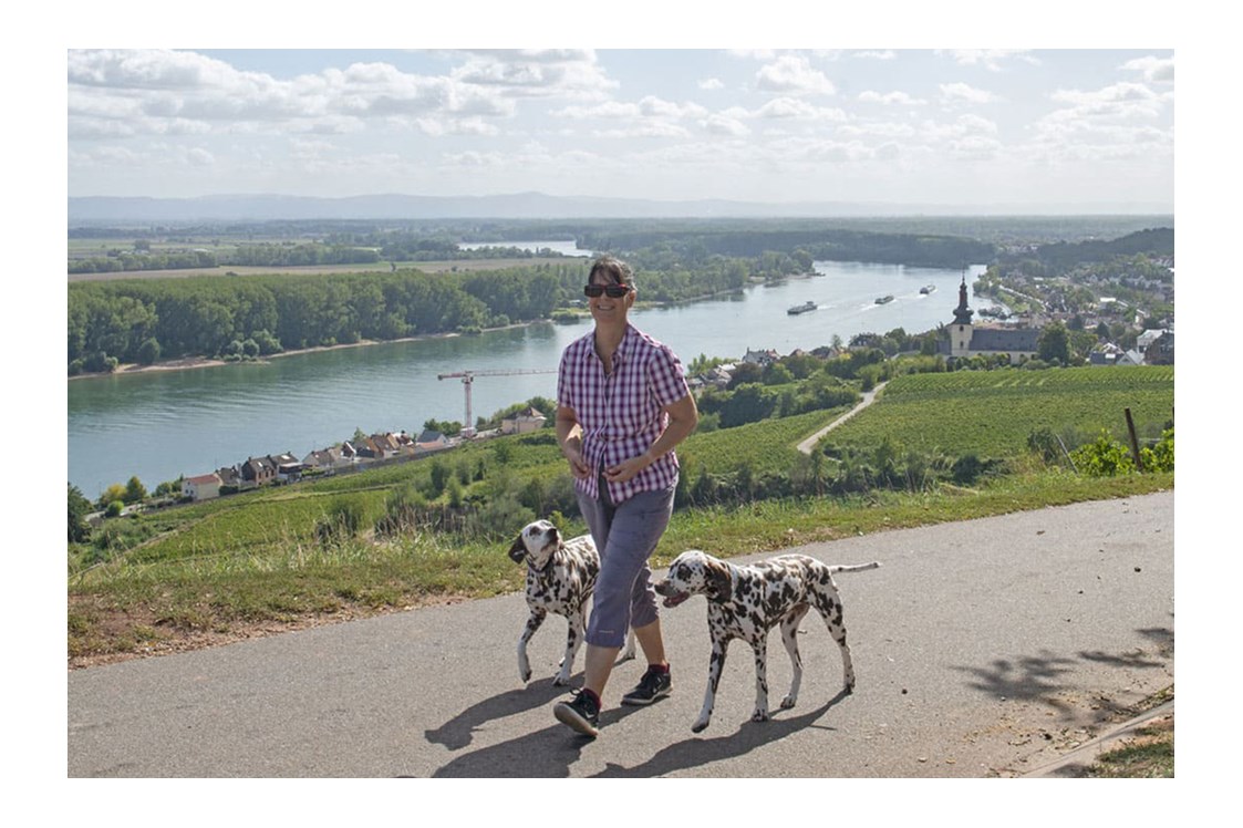 Ferienhaus mit Hund: Wandern auf dem Rheinterrassenweg,  am Roter Hang bei Nierstein. - FeWo-Oppenheim