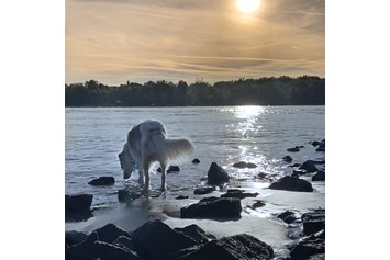 Ferienhaus mit Hund: Sunrise am Rhein. Zwischen Oppenheim und Eicher See führt ein ca. 14 km langes Wanderpfad mit kleinen Buchten direkt am Rhein entlang.  - FeWo-Oppenheim