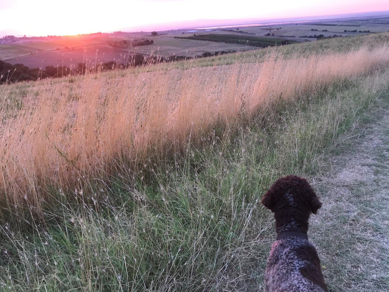 Villa Sevasti**** Ausflüge mit Hund Spazierwege ab dem Hotel