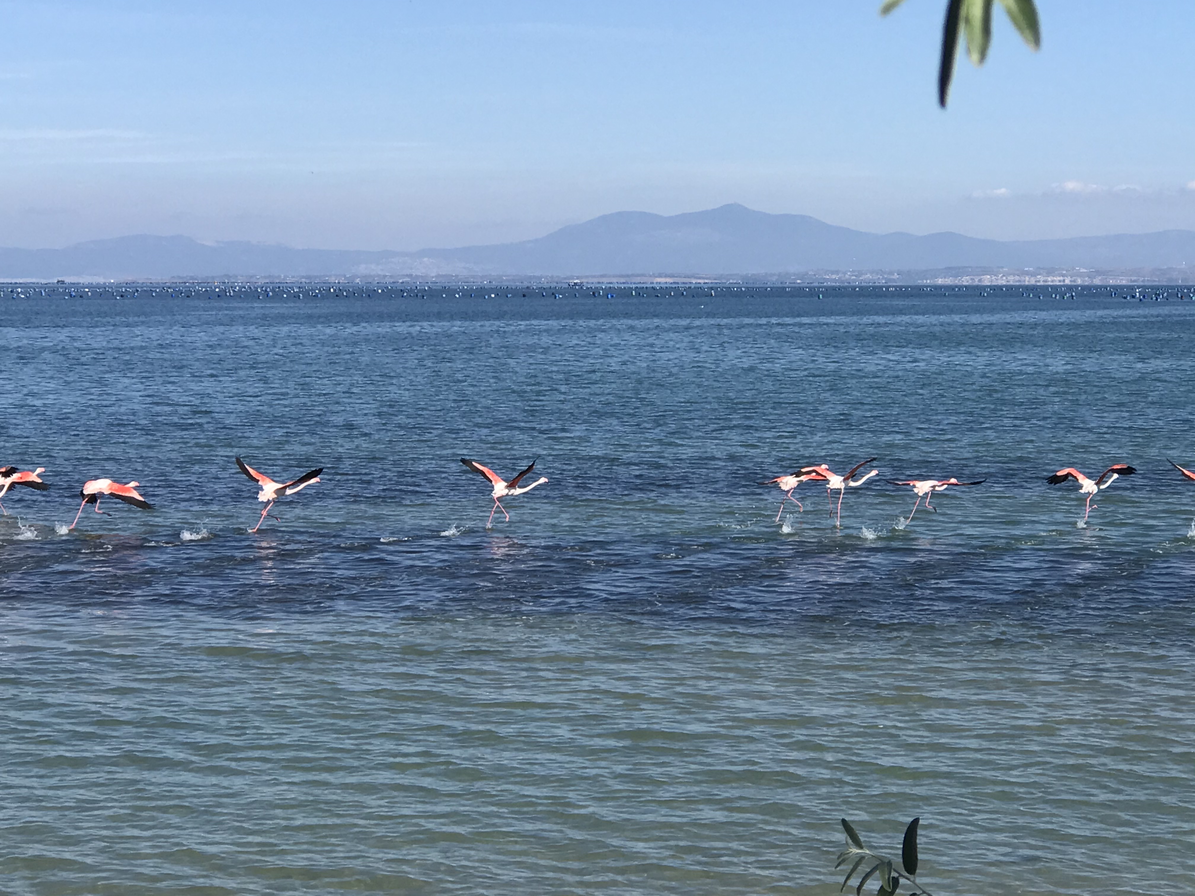 Villa Sevasti**** Ausflugsziele Natur & Vogelschutzgebiet