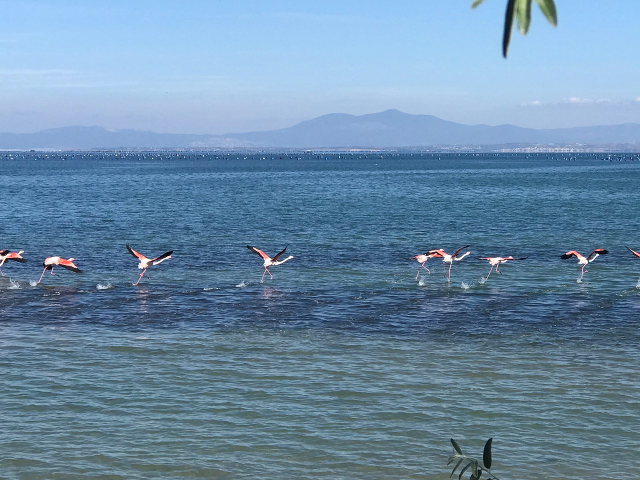 Villa Sevasti**** Ausflugsziele Natur & Vogelschutzgebiet