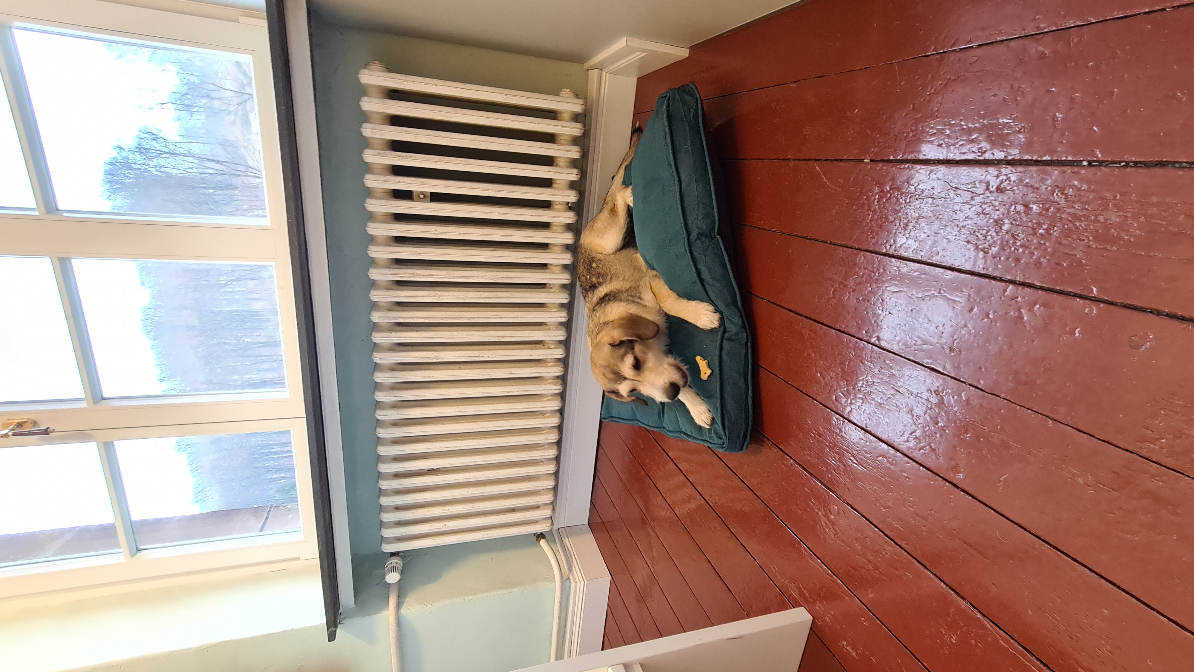 Hundehotel - Hund im Restaurant erlaubt - Nordrhein-Westfalen - Waldbahnhof Sauerland