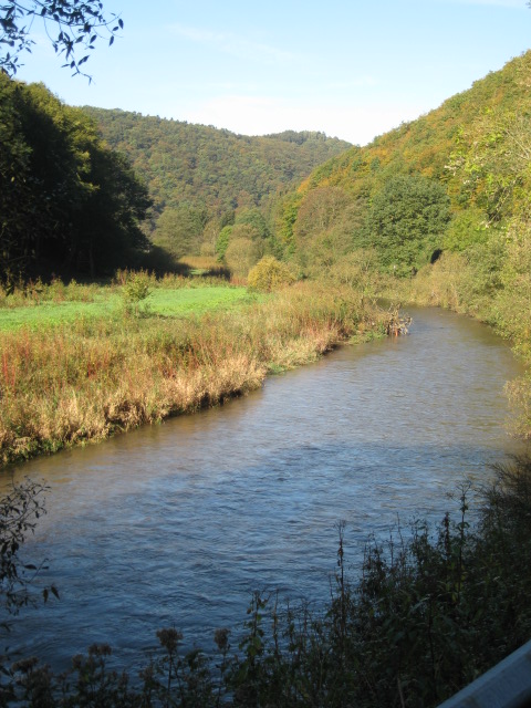 Urlaub-mit-Hund: Hotel zur Post