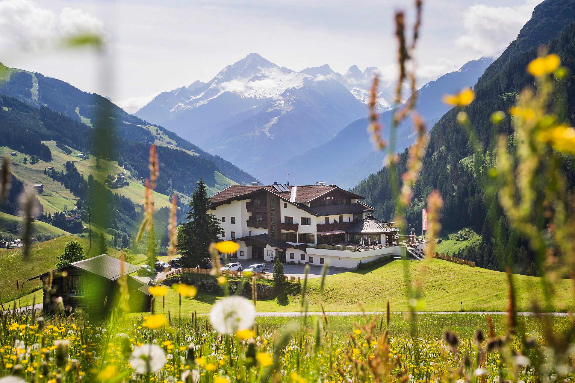 Hundehotel - WLAN - Zillertal -  Ferienhof Christler 