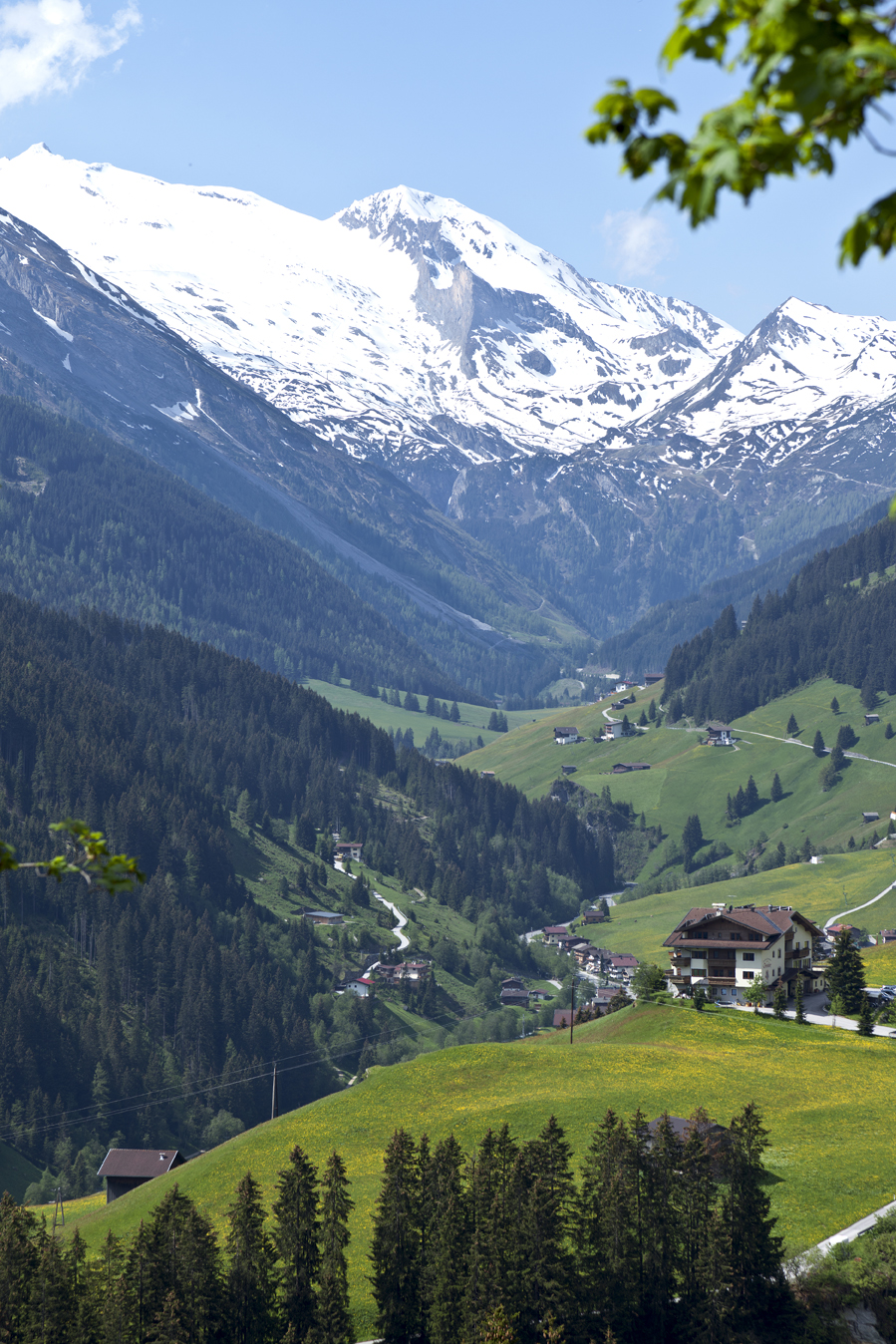 Urlaub-mit-Hund:  Ferienhof Christler  - Haus | Umgebung