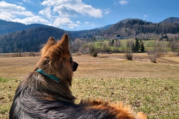 Urlaub-mit-Hund: Urlaub mit Hund am Fuschlsee - Arabella Jagdhof Resort am Fuschlsee