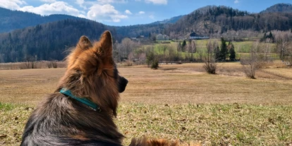 Hundehotel - WLAN - Berchtesgaden - Urlaub mit Hund am Fuschlsee - Arabella Jagdhof Resort am Fuschlsee, a Tribute Portfolio Hotel