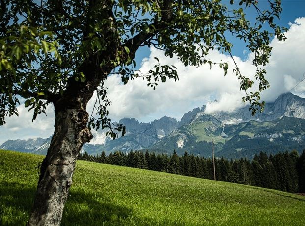 Hotel & Wirtshaus Post Ausflugsziele Schwarzsee