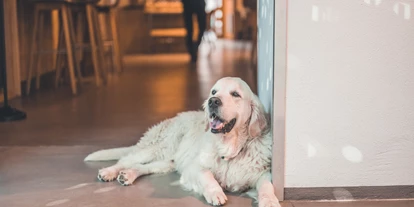 Hundehotel - Mariastein (Mariastein) - Belmondo - Hotel & Wirtshaus Post