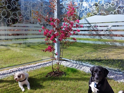 Hundehotel - Doggies: 3 Doggies - Garten - Bader Suites
