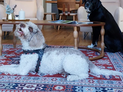 Hundehotel - Doggies: 3 Doggies - Deluxe - Bader Suites