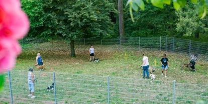 Hundehotel - Trink-/Fressnapf: vor dem Haus - Ottweiler - Unser umzäuntes Freilaufgelände - Landhaus Wern's Mühle