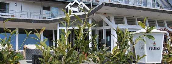 Urlaub-mit-Hund: DAS Loft Hotel Willingen