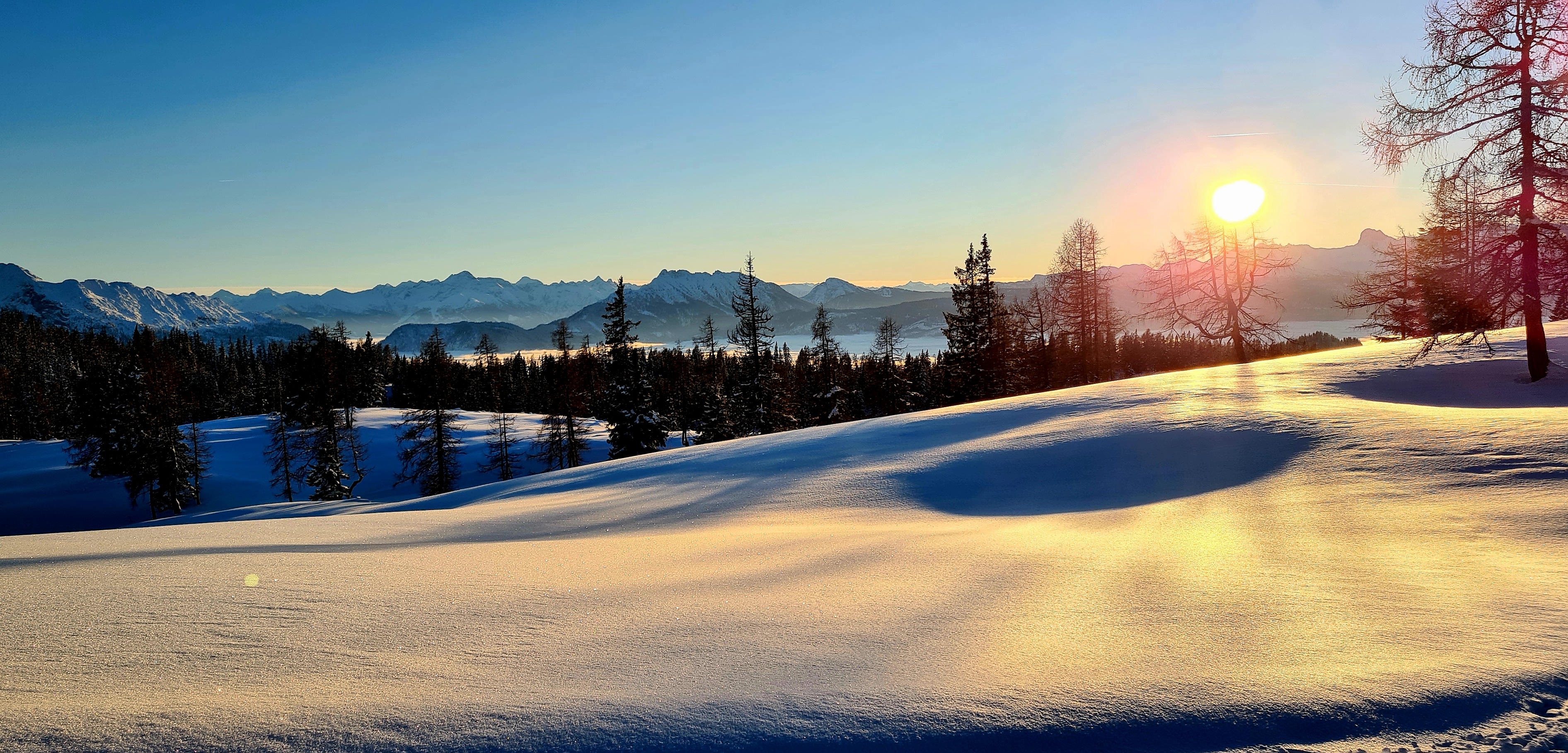 Ferienhaus mit Hund: Ferienwohnungen Bergpanorama 
