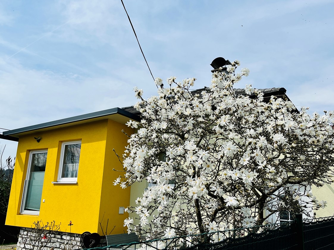 Ferienhaus mit Hund: Frühling - Ferienhaus Sausalblick 