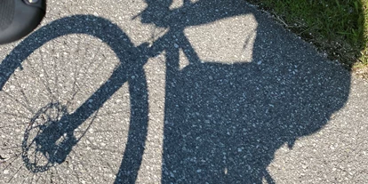 Hundehotel - Unterkunftsart: Einzelhaus - Biken am Radweg, unweit vom Haus vorbei - Ferienhaus Sausalblick