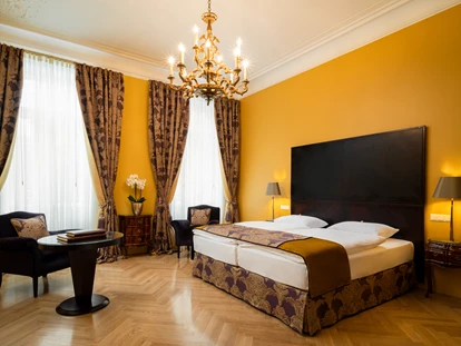 Hundehotel - Unterkunftsart: Hotel - Baden (Baden) - Studio Superior - APPARTEMENT-HOTEL AN DER RIEMERGASSE