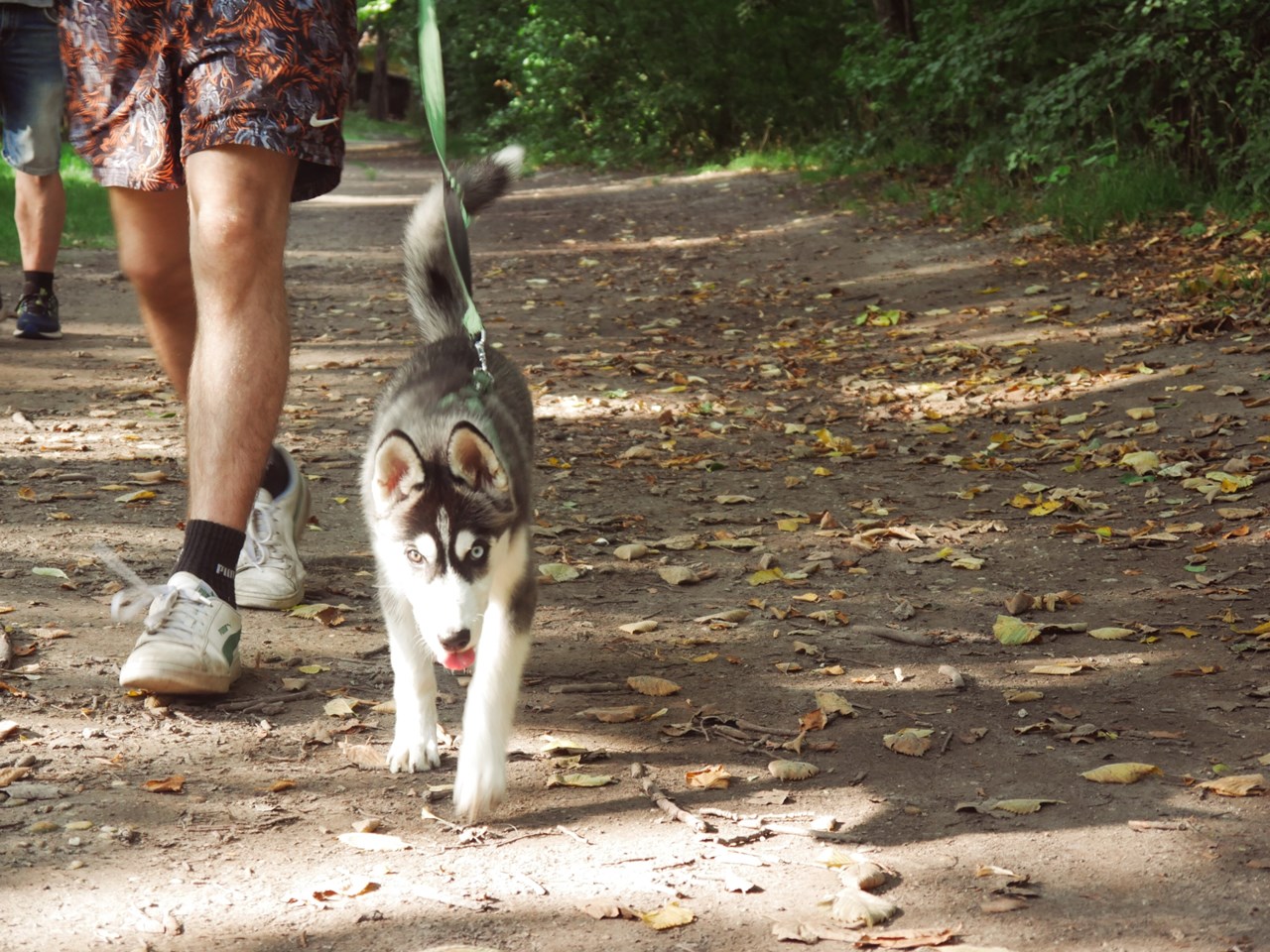 Henriette Stadthotel Vienna Ausflüge mit Hund Hundeauslaufzone im Prater