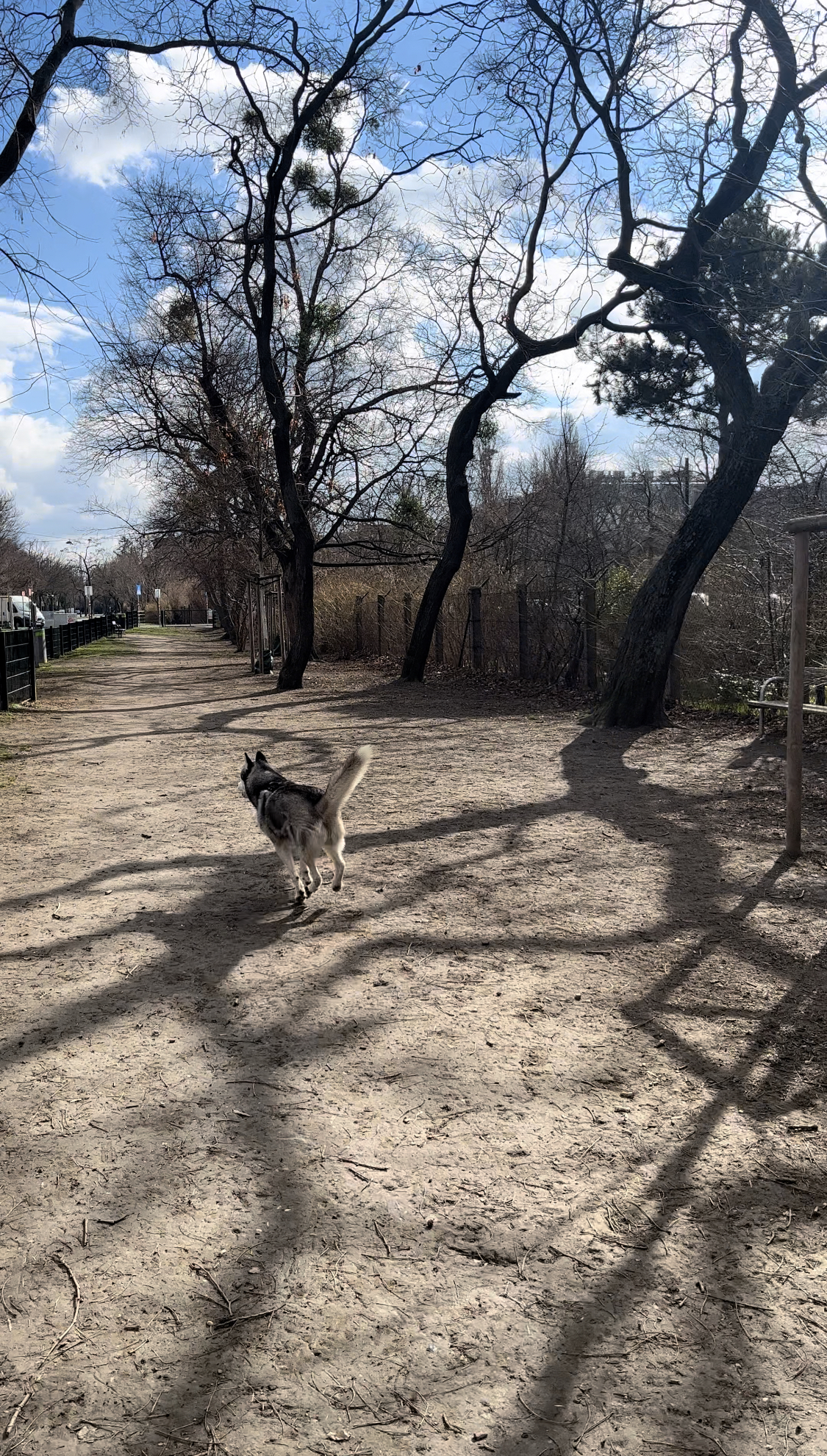 Henriette Stadthotel Vienna Ausflüge mit Hund Hundezone Prater