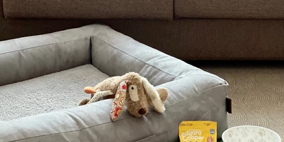 Hundehotel - Doggies: 3 Doggies - Hundepackage - Henriette Stadthotel Vienna