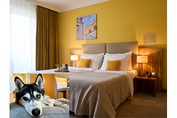 Urlaub-mit-Hund: Superior Zimmer mit Balkon  - Henriette Stadthotel Vienna