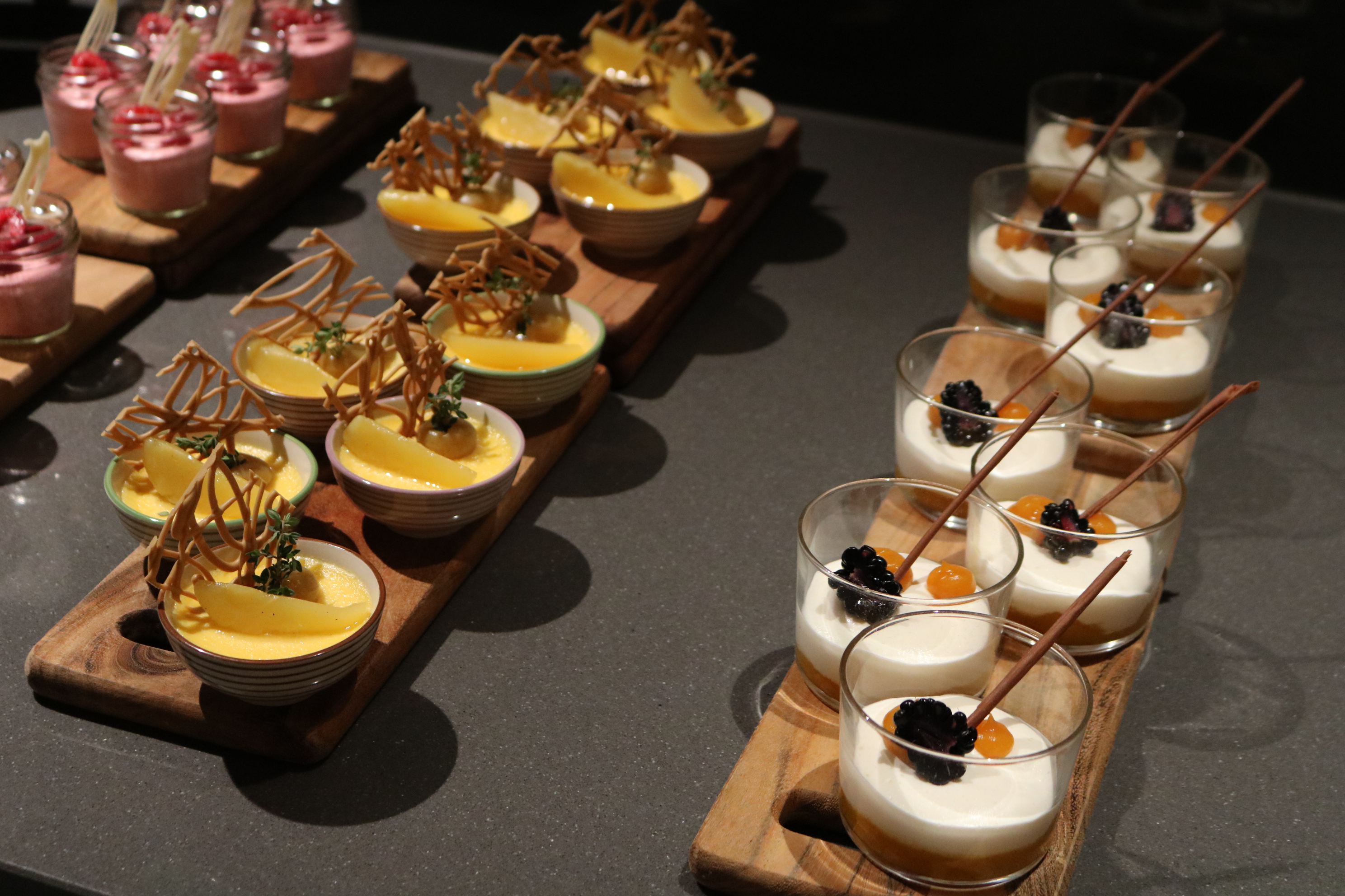 Urlaub-mit-Hund: Für jeden etwas dabei.  - Valavier Aktivresort 