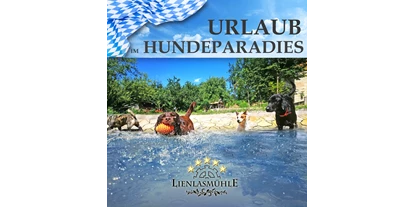 Hundehotel - Mikrowelle - Ostbayern - Traumurlaub für Hund und Mensch - Lienlasmühle