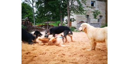 Hundehotel - Mikrowelle - Ostbayern - Sandbuddelplatz - Lienlasmühle
