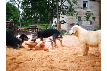 Ferienhaus mit Hund: Sandbuddelplatz - Lienlasmühle