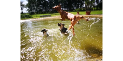 Hundehotel - Mikrowelle - Ostbayern - Hundepool - Lienlasmühle