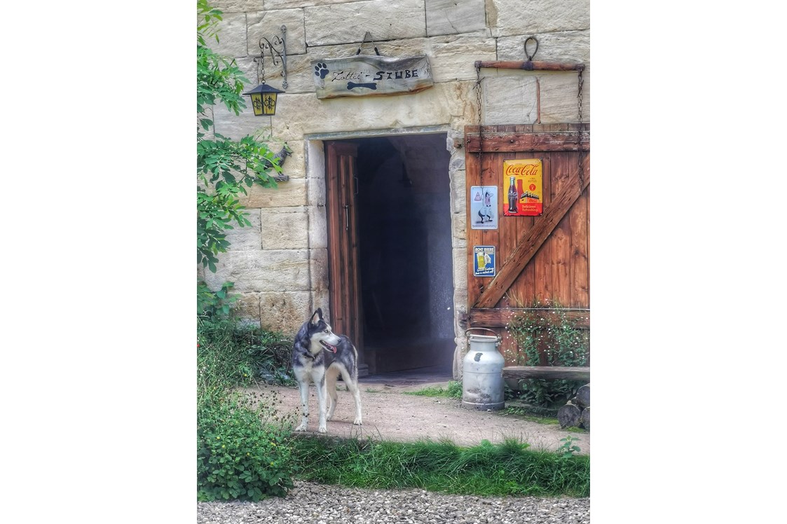Ferienhaus mit Hund: Hier gehts in die Zottelstube - Lienlasmühle