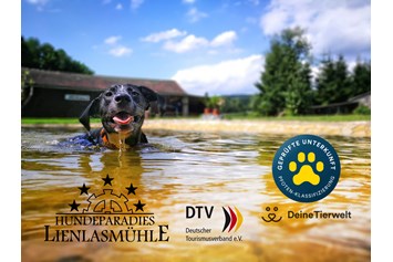 Ferienhaus mit Hund: Unser Ferienhaus ist ausgezeichnet vom Deutschen Tourismusverband mit 5 Sternen und 5 Pfoten - Lienlasmühle