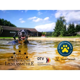 Ferienhaus mit Hund: Unser Ferienhaus ist ausgezeichnet vom Deutschen Tourismusverband mit 5 Sternen und 5 Pfoten - Lienlasmühle