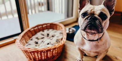 Hundehotel - Trink-/Fressnapf: an der Rezeption - Schruns - Hotel Sport