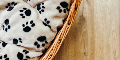 Hundehotel - Trink-/Fressnapf: an der Rezeption - Schruns - Hotel Sport