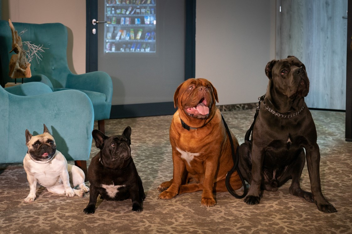 Urlaub-mit-Hund: Akceptujemy psy każdego rozmiaru. 
Oto psia rodzina Maxa. - Max Health Resort Spa